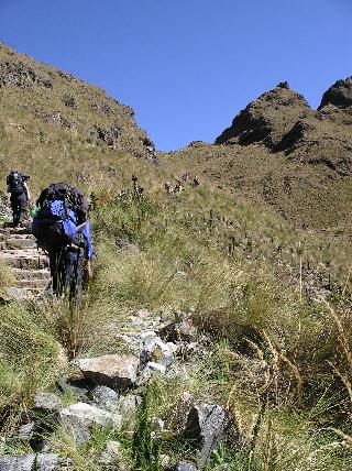 On The Trail