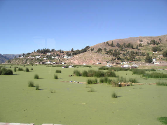 Puno Harbour